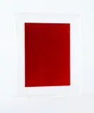 Alfonso Bianchi Fratteggiani, Rosso