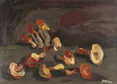 Attilio Alfieri, Funghi
