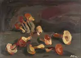 Attilio Alfieri, Funghi