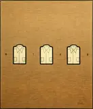 Tino Stefanoni, Le camicie