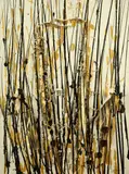 Senza titolo by Arman, 1998, tubetti schiacciati and acrylic on canvas tesa on panel, sold Oct 2018