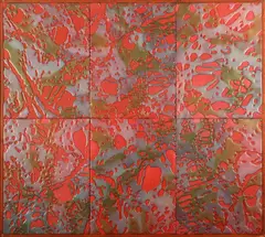 Davide Nido, Cellulare