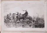 Filippo Palizzi, Caprette, print (other)