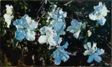A. J. Taylor, Paul Auster (Azalea no. 3), 2005, Oil on Board