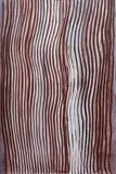 Rosella Namok, Untitled, 2004, Acrylic on Canvas