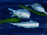 Samantha Hobson, Coral spawn... out w'ere reef, 2009, Acrylic on Canvas