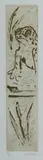 Max Miller, Frog, Etching 30/40