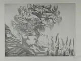 Keith Looby, Growth, 1976, Etching 30/50