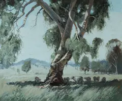 Dixon Copes, Shade Tree, Bathurst, Oil on Board