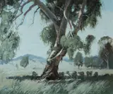 Dixon Copes, Shade Tree, Bathurst, Oil on Board