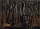 Tony Costa, Bush Scene - Trees, Oil on Paper