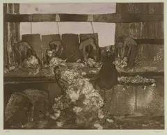 Clifton Pugh, Shearing Shed, Etching with Aquatint 19/40