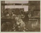 Clifton Pugh, Shearing Shed