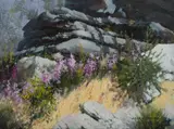 Allan Waite, Boronia, near Manly Dam, Oil on Canvas on Board