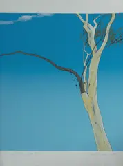 David George Rose, Eucalypt I, 1975, S/Print 26/30