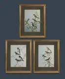 Neville William Cayley, (3), Rose Robins, & Pink Robins [plate ii]; 'Crimson Chats, & White-fronted Chats [plate vii]'; & 'Little Yellow Robin, Northern Yellow Robin, Western Yellow Robin, & Southern Yellow Robin [plate xii]'