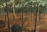 Percy Trezise, North Scarp of Kennedy Creek, Cape York, 1971, Oil on Board