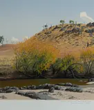 David Rose, Autumn at MacQuarie River, 1993, S/Print 29/80