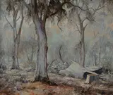 Terry Gleeson, Bush Views with Gums, Oil on Board