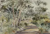 William Boissevain, Bush Walk