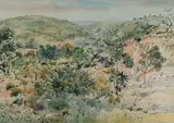 William Boissevain, View from the Mountain