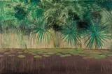 Ray Crooke, Tropical Lily Pond, Oil on Board