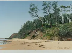 David Rose, The Bush at Bateau Bay, 1991, S/Print 25/90