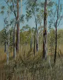Young Gums, Davidson Auctions 2023