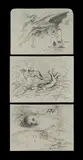 David Boyd, (3), Charcoal & Pencil (3)