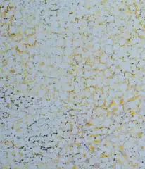 James Jones, Langa Valela, 2003, Oil on Board