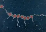 Gabriella Possum Nungurrayi, Seven Sisters / Milky Way Dreaming, 1997, Acrylic on Linen