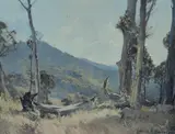 Lance Solomon, Fallen Gum and Grazing Sheep
