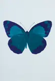 The Souls II - Turquoise/Imperial Purple/Blind Impression by Damien Hirst, 2010, Foil Block Print 12/15, sold Mar 2023