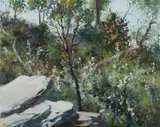 Allan Waite, Flannel Flowers at Palm Beach, Oil on Board