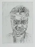 Mike Parr, Organon 1 (#14)