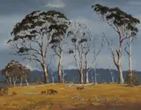 Brian Baigent, Big Gums at Braidwood, NSW, 1976, Oil on Canvas Board