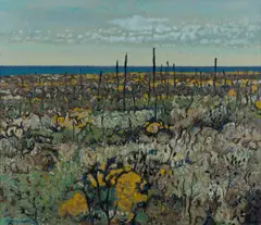 Clem Millward, Coastal Heath, Kalbarri, 1987, Oil on Linen