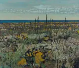 Clem Millward, Coastal Heath, Kalbarri, 1987, Oil on Linen