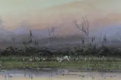John Milenkovic, Tropical Wetlands, Oil on Board