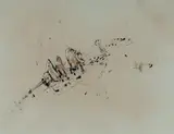 William Rose, Untitled, Ink & W/Clr with White Highlights