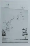 Peter Hickey, The Hill, 1976, Aquatint 14/30