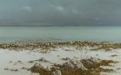 Arthur Phillips, Coorong Scene [SA], 1986, Oil on Canvas
