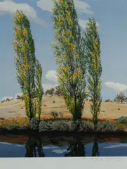 David Rose, Poplars at Thredbo River, 1993, S/Print 31/80