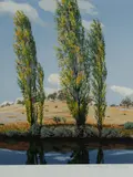 David Rose, Poplars at Thredbo River