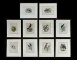 Henrik Grønvold, (10), Colour Lithograph (10)