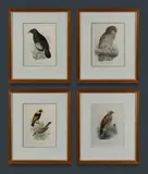 Henrik Grønvold, (4), Colour Lithograph (4)