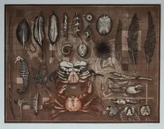 John Winch, Found Objects, 1984, Colour Etching & Aquatint XLIX