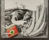Fernando Bellver, Bodegón: El Apio Del Pueblo, 1985, Colour Etching 34/99