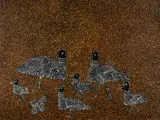 Ronnie Price Mpetyane, Bronze Wing Pigeon, 2004, Acrylic on Linen