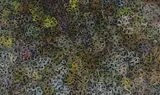 Margaret Scobie, Bush Leaf Medicine, Acrylic on Canvas